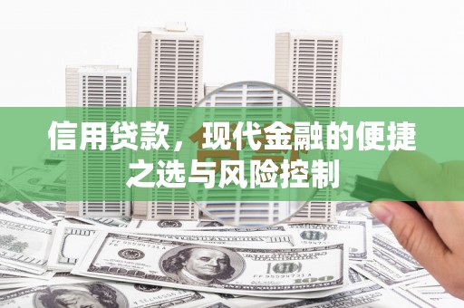 陇川信用贷款，现代金融的便捷之选与风险控制