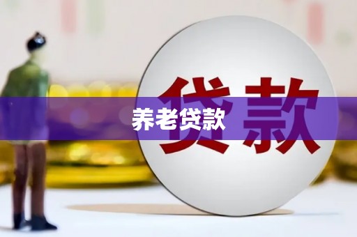 陇川养老贷款