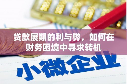 陇川贷款展期的利与弊，如何在财务困境中寻求转机
