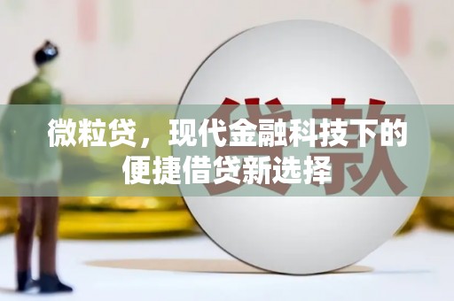 陇川微粒贷，现代金融科技下的便捷借贷新选择