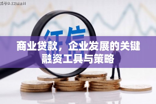 陇川商业贷款，企业发展的关键融资工具与策略