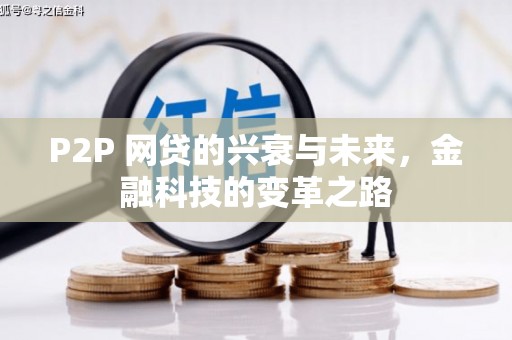 陇川P2P 网贷的兴衰与未来，金融科技的变革之路