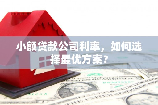 陇川小额贷款公司利率，如何选择最优方案？