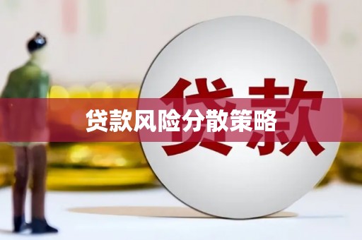 陇川贷款风险分散策略