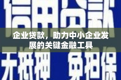 陇川企业贷款，助力中小企业发展的关键金融工具