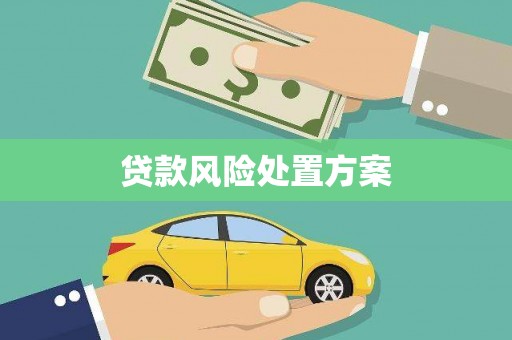 陇川贷款风险处置方案