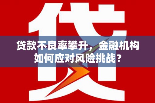 陇川贷款不良率攀升，金融机构如何应对风险挑战？