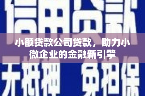 陇川小额贷款公司贷款，助力小微企业的金融新引擎