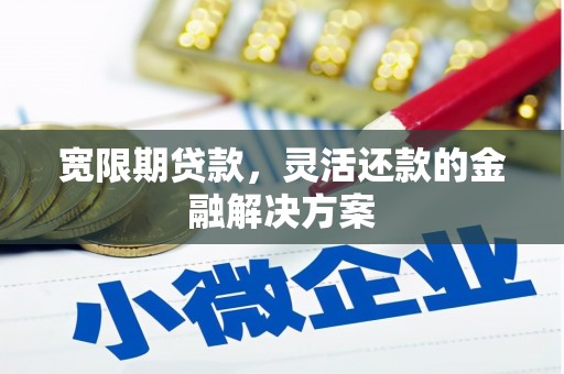 陇川宽限期贷款，灵活还款的金融解决方案