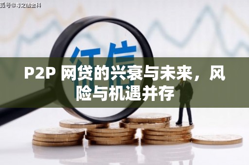 陇川P2P 网贷的兴衰与未来，风险与机遇并存