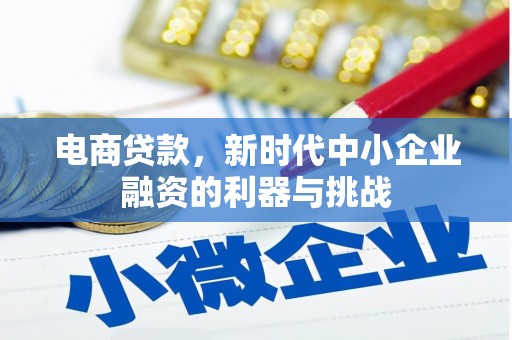 陇川电商贷款，新时代中小企业融资的利器与挑战