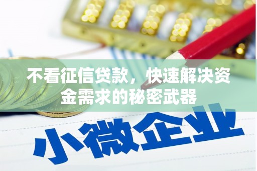陇川不看征信贷款，快速解决资金需求的秘密武器
