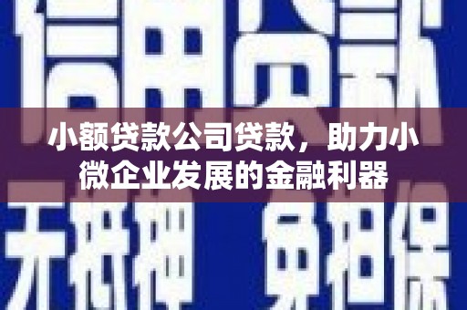 陇川小额贷款公司贷款，助力小微企业发展的金融利器