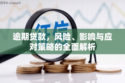 陇川逾期贷款，风险、影响与应对策略的全面解析