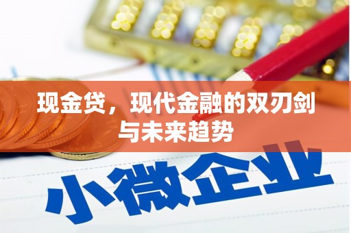 陇川现金贷，现代金融的双刃剑与未来趋势