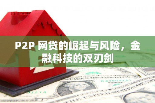 陇川P2P 网贷的崛起与风险，金融科技的双刃剑