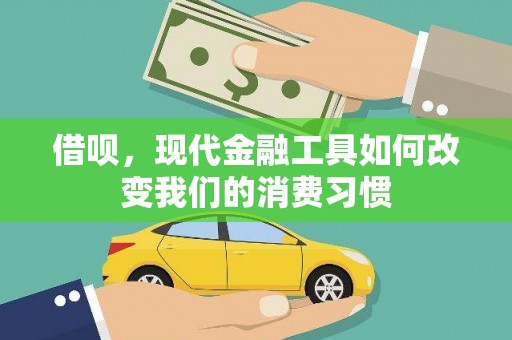 陇川借呗，现代金融工具如何改变我们的消费习惯