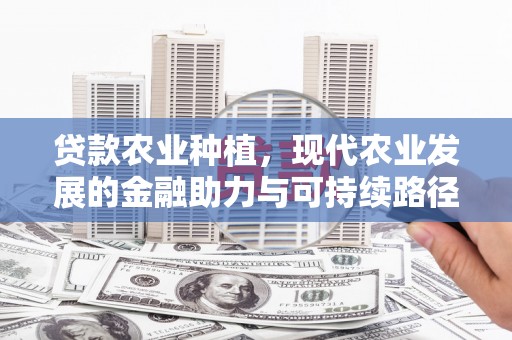 陇川贷款农业种植，现代农业发展的金融助力与可持续路径