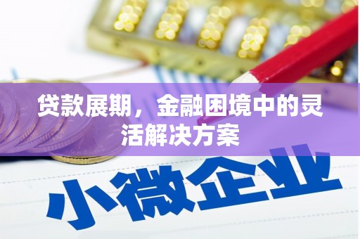 陇川贷款展期，金融困境中的灵活解决方案