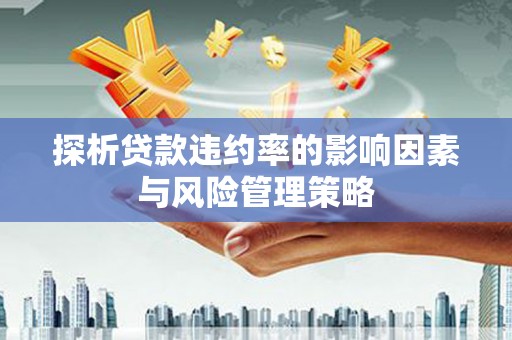 陇川探析贷款违约率的影响因素与风险管理策略