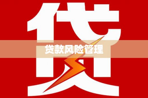 陇川贷款风险管理