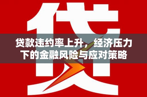 陇川贷款违约率上升，经济压力下的金融风险与应对策略