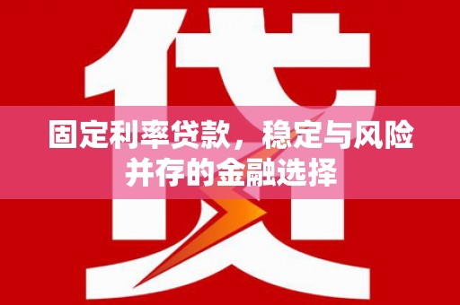 陇川固定利率贷款，稳定与风险并存的金融选择