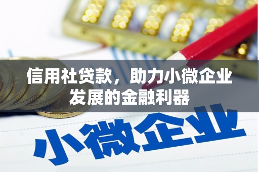 陇川信用社贷款，助力小微企业发展的金融利器