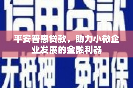 陇川平安普惠贷款，助力小微企业发展的金融利器