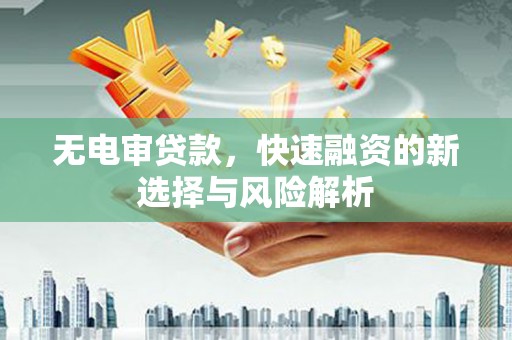 陇川无电审贷款，快速融资的新选择与风险解析