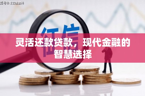 陇川灵活还款贷款，现代金融的智慧选择