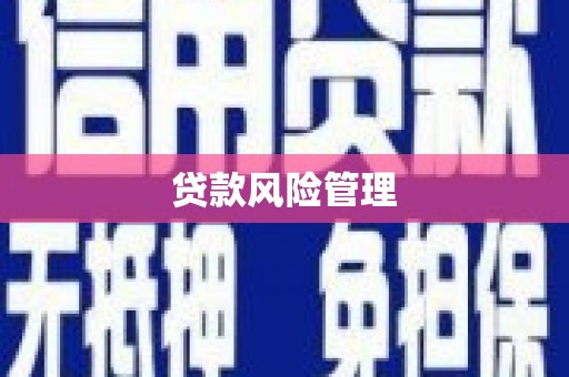 陇川贷款风险管理