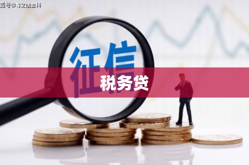 陇川税务贷