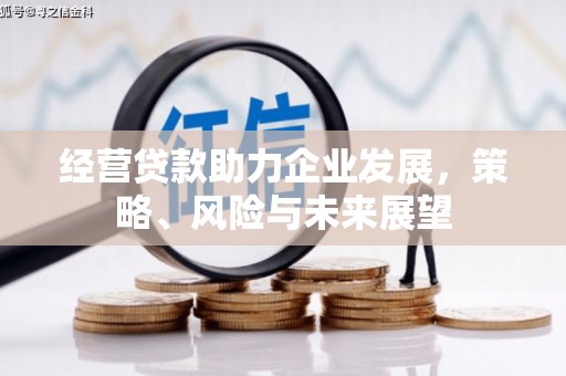 陇川经营贷款助力企业发展，策略、风险与未来展望