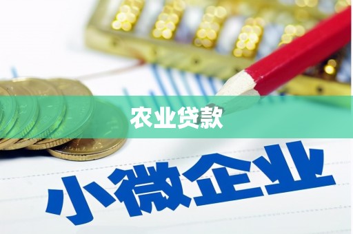 陇川农业贷款