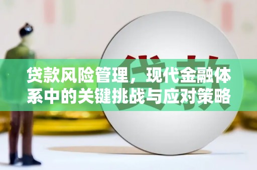 陇川贷款风险管理，现代金融体系中的关键挑战与应对策略