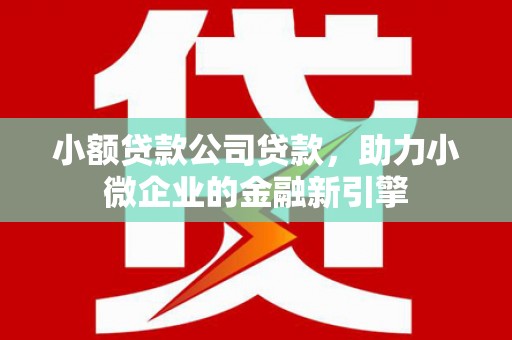 陇川小额贷款公司贷款，助力小微企业的金融新引擎