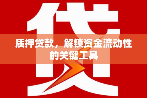 陇川质押贷款，解锁资金流动性的关键工具