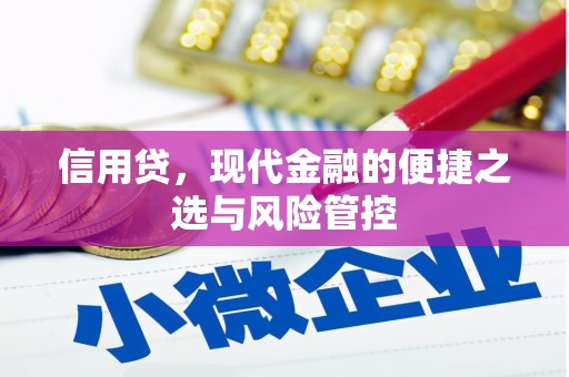 陇川信用贷，现代金融的便捷之选与风险管控