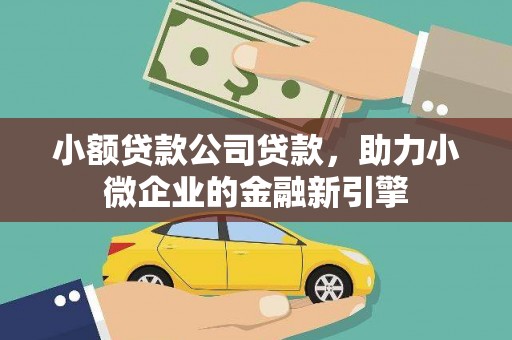 陇川小额贷款公司贷款，助力小微企业的金融新引擎