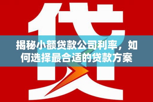 陇川揭秘小额贷款公司利率，如何选择最合适的贷款方案
