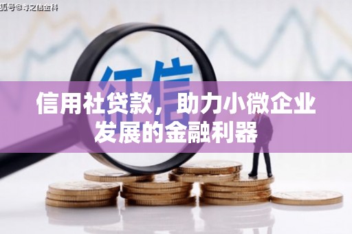陇川信用社贷款，助力小微企业发展的金融利器