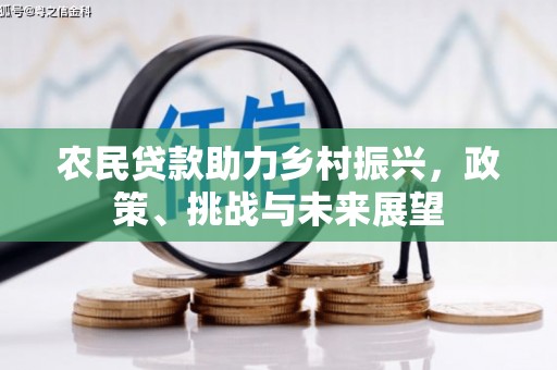 陇川农民贷款助力乡村振兴，政策、挑战与未来展望