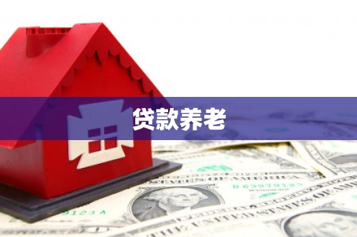陇川贷款养老