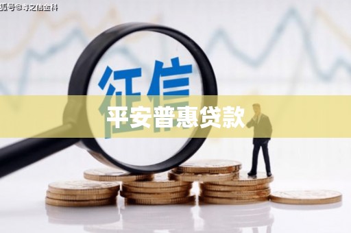 陇川平安普惠贷款
