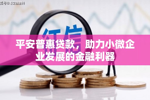 陇川平安普惠贷款，助力小微企业发展的金融利器