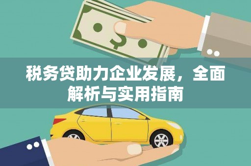 陇川税务贷助力企业发展，全面解析与实用指南