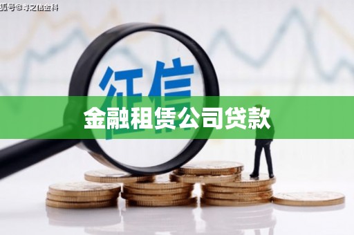 陇川金融租赁公司贷款