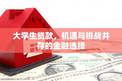 陇川大学生贷款，机遇与挑战并存的金融选择