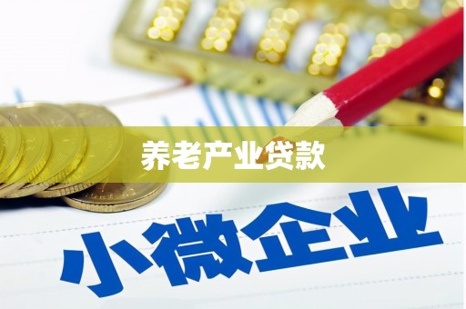 陇川养老产业贷款